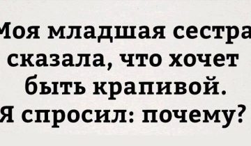 жизненных рассказов