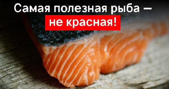 самая полезная рыба
