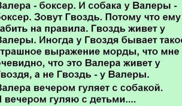 собака у Валеры