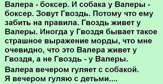 собака у Валеры