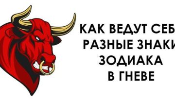 свой гнев