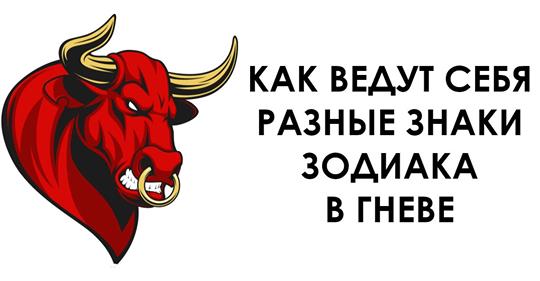 свой гнев