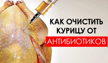 избавить курицу