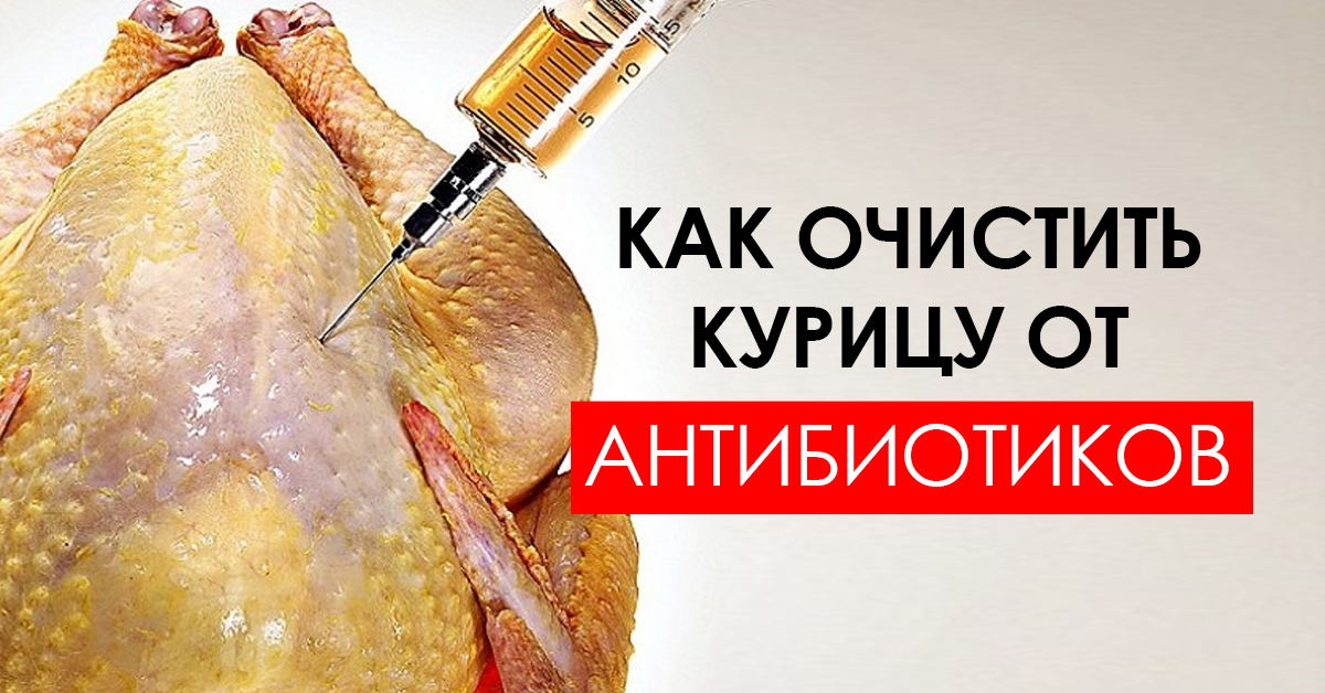 избавить курицу