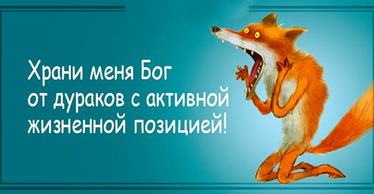 как кунг-фу