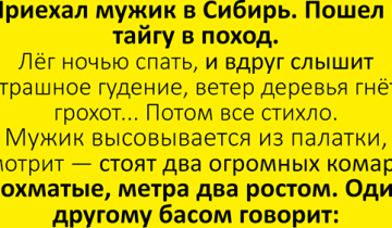 все смешное