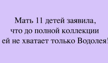 веселая подборка