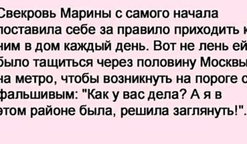 в дом каждый день