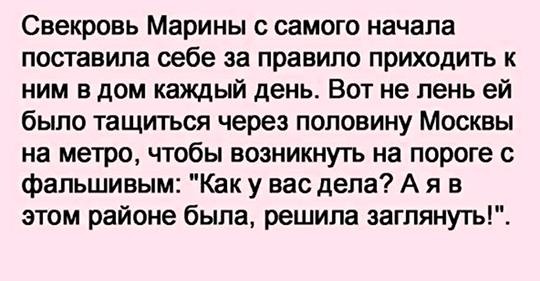 в дом каждый день