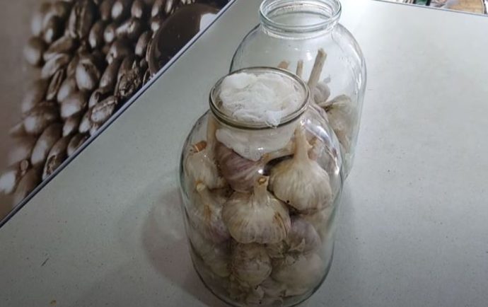 сохранить чеснок свежим