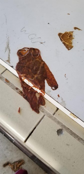 результаты спонтанных экспериментов