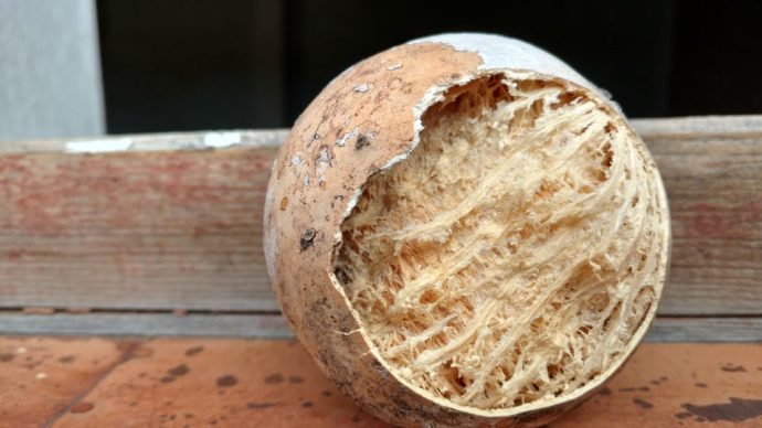 результаты спонтанных экспериментов