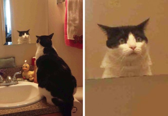 плачет Оскар: 17 эмоций