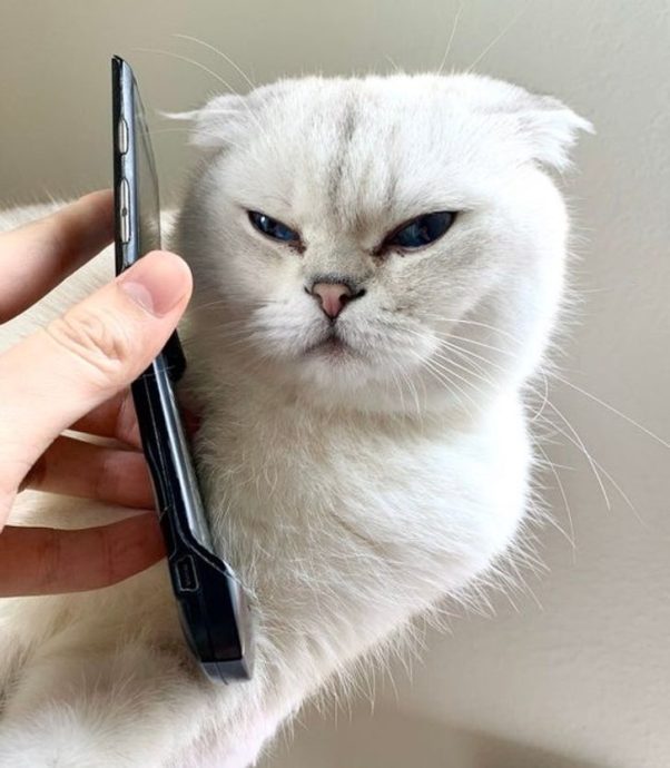 плачет Оскар: 17 эмоций