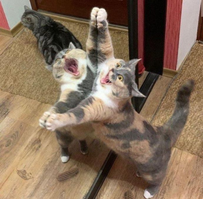 плачет Оскар: 17 эмоций