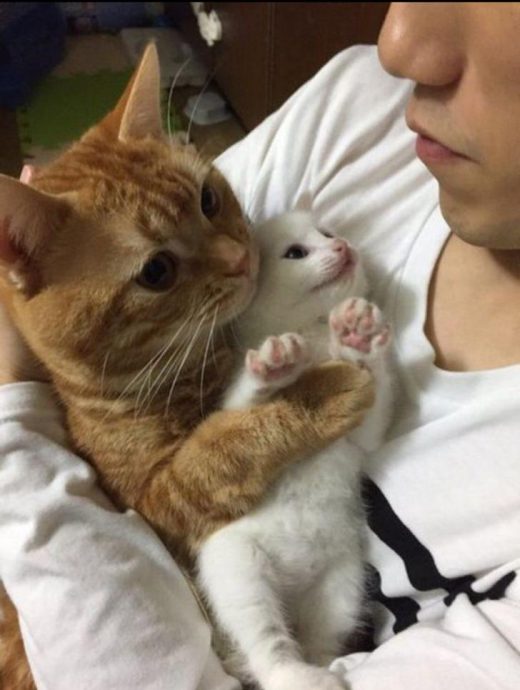 плачет Оскар: 17 эмоций