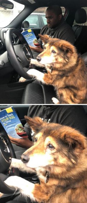 плачет Оскар: 17 эмоций