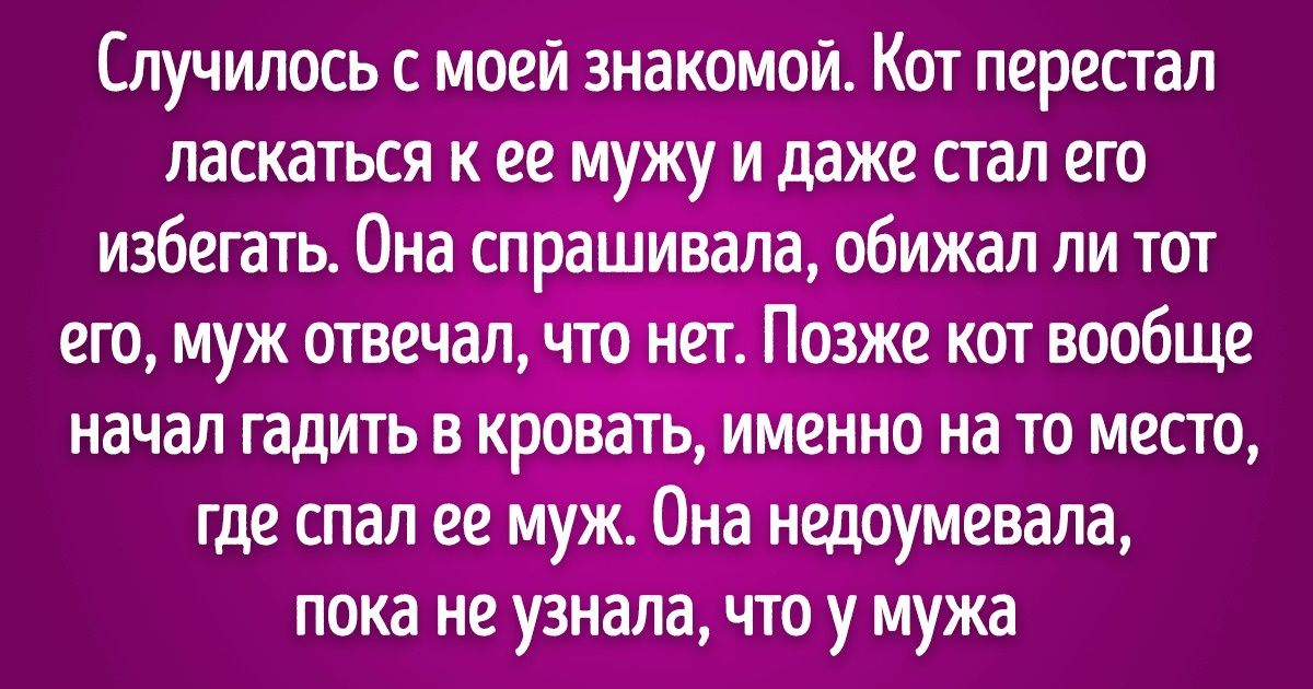 домашние питомцы умнее