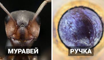 Красота обычных вещей вблизи