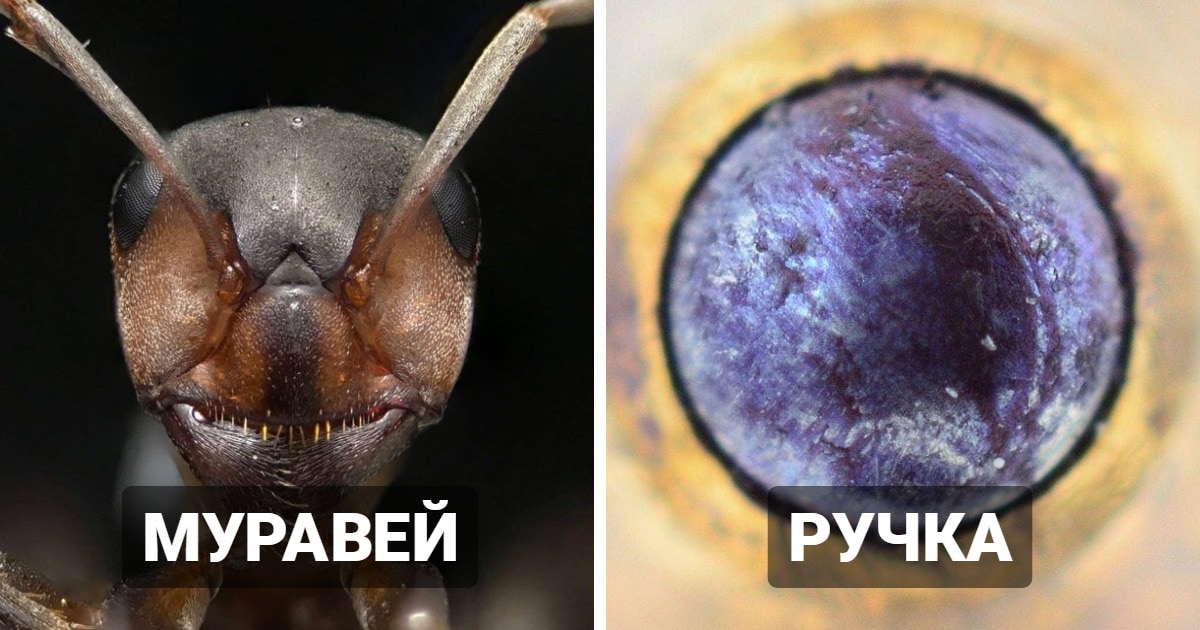 Красота обычных вещей вблизи