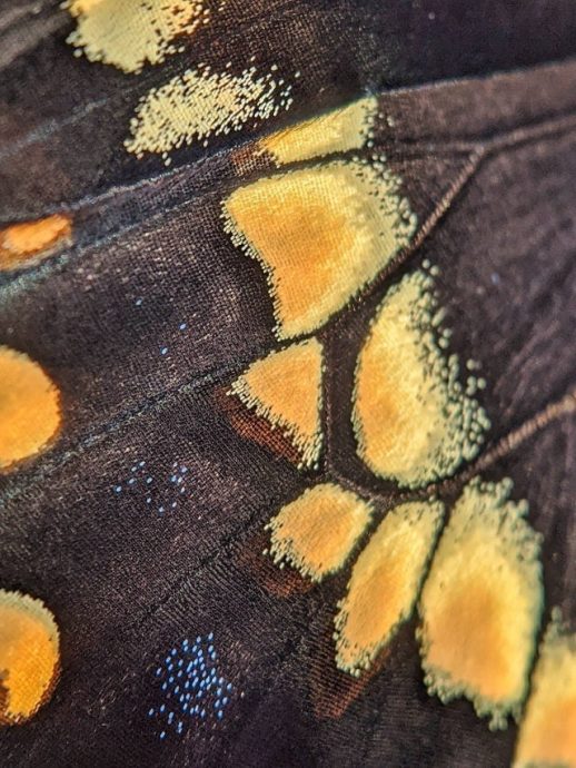 Красота обычных вещей вблизи