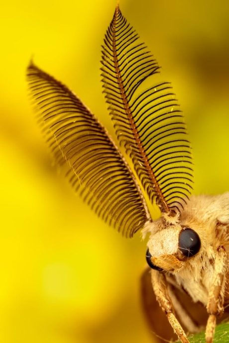 Красота обычных вещей вблизи