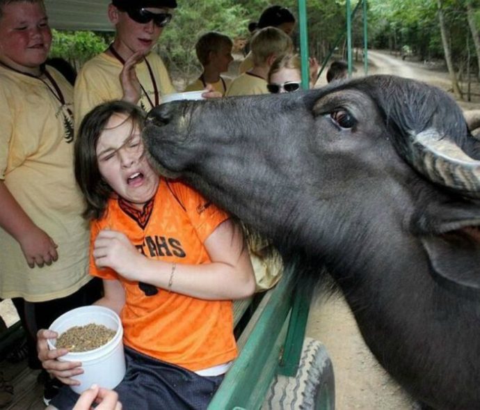 Очень курьезные моменты