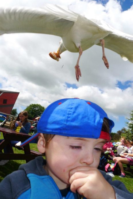 Очень курьезные моменты