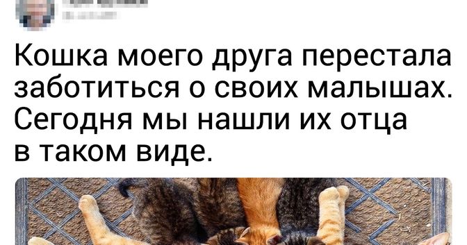 готовы прийти на выручку