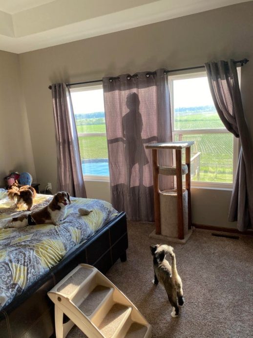 Гениальные мысли от детей