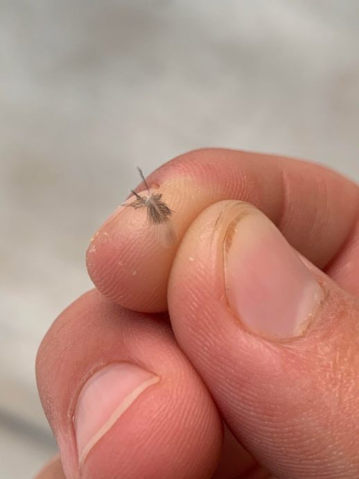 Гигантские объекты 16 фото