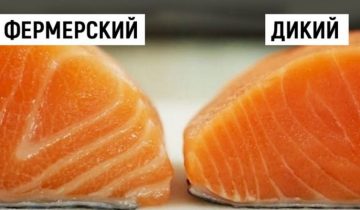 Как выбрать лосося