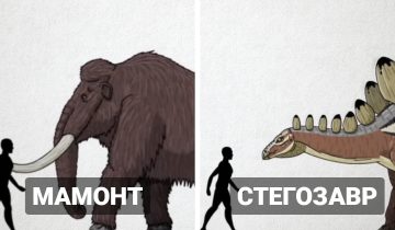 размер доисторических существ