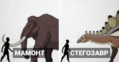 размер доисторических существ