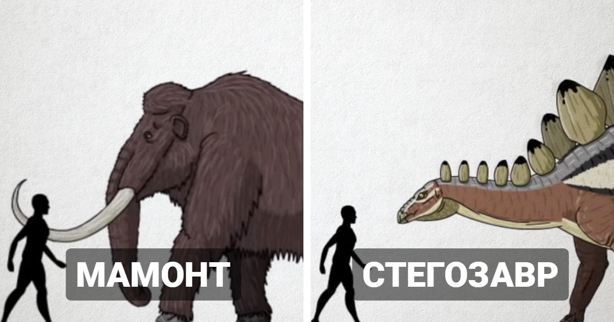 размер доисторических существ