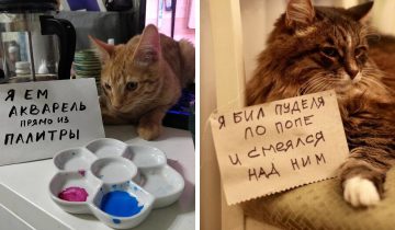 сожалеют о своих преступлениях