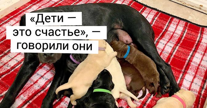 написано на морде