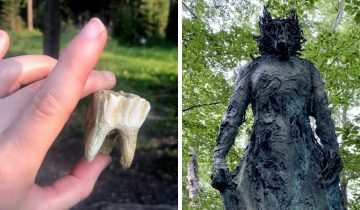 Таинственные вещи в лесу