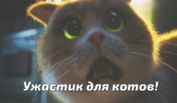 ужастик для котов