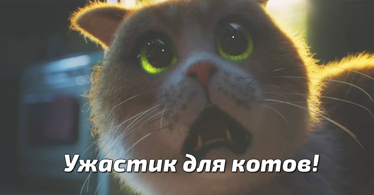 ужастик для котов
