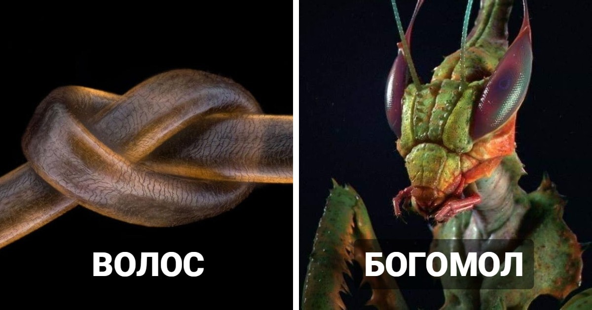 показывают красоту этого мира