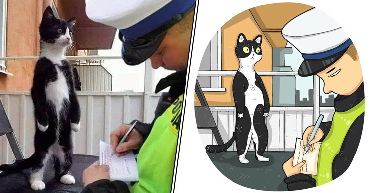 Мемные коты в рисунках