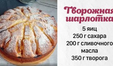 Творожная шарлотка