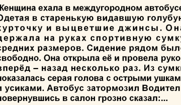 ехала в междугородном автобусе