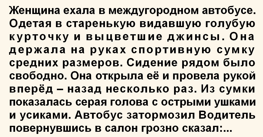 ехала в междугородном автобусе