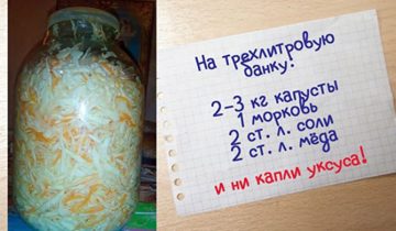 заквасить капусту на зиму