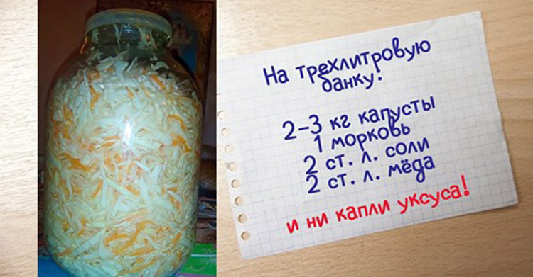 заквасить капусту на зиму