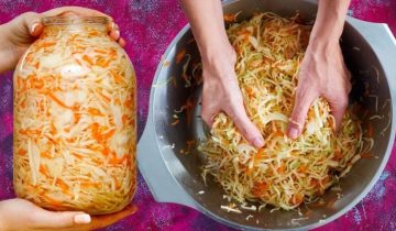 люблю квашеную капусту