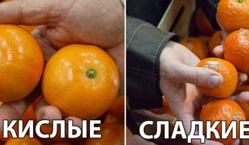 вкус мандаринов