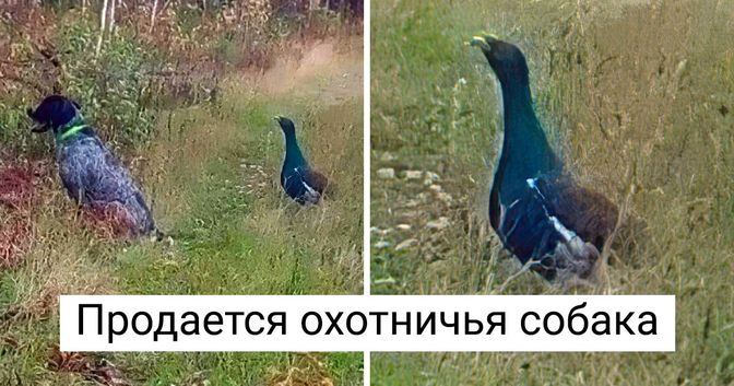 каждое слово шедевр